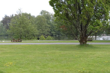 Bugårdsparken med Bugårdsdammen i bakgrunn